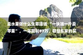 卖水果做什么生意赚钱 “一块钱一斤卖苹果”，一年赢利87万，聪慧东家的买卖经值得自创