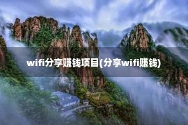 wifi分享赚钱项目(分享wifi赚钱)