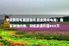 学点跨境电商赚钱吗 掘金跨境电商：商家烧钱内卷，训练卖课月赚800万