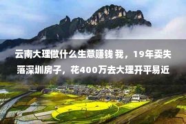 云南大理做什么生意赚钱 我，19年卖失落深圳房子，花400万去大理开平易近宿，如今肠子都悔青了