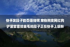 快手发段子能否赚钱呢 宠物狗变网红狗 铲屎官靠给金毛拍段子正在快手上吸粉300多万