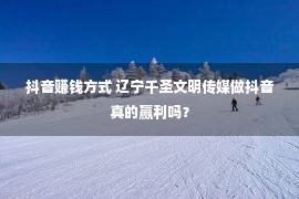 抖音赚钱方式 辽宁千圣文明传媒做抖音真的赢利吗？