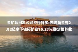 金矿项目怎么融资赚钱多:赤峰黄金或2.82亿拿下铁拓矿业10.23%股份 境外收入占比77%加码西非金矿布局