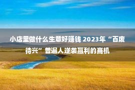 小店里做什么生意好赚钱 2023年“百废待兴”普遍人逆袭赢利的商机