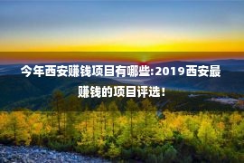 今年西安赚钱项目有哪些:2019西安最赚钱的项目评选！