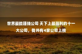 世界最能赚钱公司 天下上最赢利的十一大公司，我共有4家公司上榜