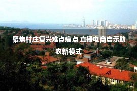  聚焦村庄复兴难点痛点 直播电商启示助农新模式