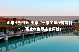 小米不赚钱图 小米“手机生意没有赢利”，高成本生意来自何处？