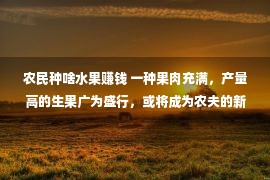 农民种啥水果赚钱 一种果肉充满，产量高的生果广为盛行，或将成为农夫的新商机？