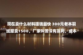 现在卖什么材料赚钱最快 300元老本羽绒服卖1500，厂家叫苦没有赢利，成本去了哪？