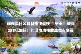 现在卖什么材料赚钱最快 “宁王”豪掷238亿加码！能源电池接收毕竟有多赢利