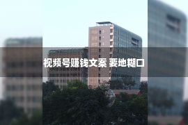 视频号赚钱文案 要地糊口