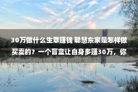 30万做什么生意赚钱 聪慧东家是怎样做买卖的？一个盲盒让自身多赚30万，你也也许