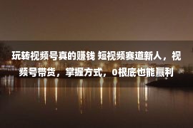 玩转视频号真的赚钱 短视频赛道新人，视频号带货，掌握方式，0根底也能赢利