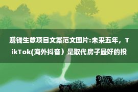 赚钱生意项目文案范文图片:未来五年，TikTok(海外抖音）是取代房子最好的投资！！