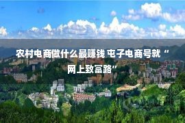 农村电商做什么最赚钱 屯子电商号就“网上致富路”