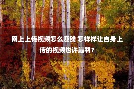 网上上传视频怎么赚钱 怎样样让自身上传的视频也许赢利？