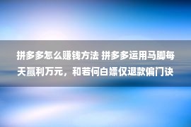 拼多多怎么赚钱方法 拼多多运用马脚每天赢利万元，和若何白嫖仅退款偏门诀窍教程？