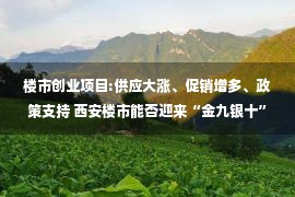 楼市创业项目:供应大涨、促销增多、政策支持 西安楼市能否迎来“金九银十”