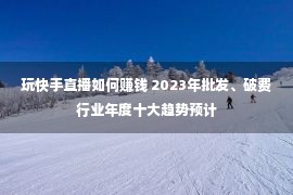 玩快手直播如何赚钱 2023年批发、破费行业年度十大趋势预计