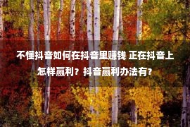 不懂抖音如何在抖音里赚钱 正在抖音上怎样赢利？抖音赢利办法有？