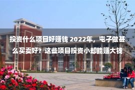 投资什么项目好赚钱 2022年，屯子做甚么买卖好？这些项目投资小却能赚大钱