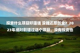 投资什么项目好赚钱 没钱还想创业？2023年绝对别错过这个项目，没有投资也能赢利