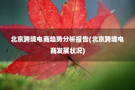 北京跨境电商趋势分析报告(北京跨境电商发展状况)