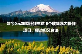 如今0元加盟赚钱生意 5个收集暴力挣钱项目，擦边但又合法