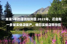 未来5年的赚钱趋势图 2023年，还会有一多量实体店破产，他日实体店想存在有3条路走！