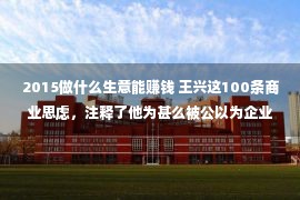 2015做什么生意能赚钱 王兴这100条商业思虑，注释了他为甚么被公以为企业家中的思维家