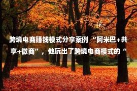 跨境电商赚钱模式分享案例 “阿米巴+共享+微商”，他玩出了跨境电商模式的“新地步”