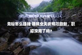 竞标怎么赚钱 建筑业天资规范鼎新，职称没用了吗？