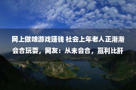 网上做啥游戏赚钱 社会上年老人正渐渐会合玩耍，网友：从未会合，赢利比肝更快