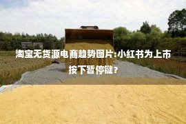 淘宝无货源电商趋势图片:小红书为上市按下暂停键？