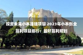 投资未来小本赚钱项目 2023年小本创业赢利项目排行：最好赢利规划