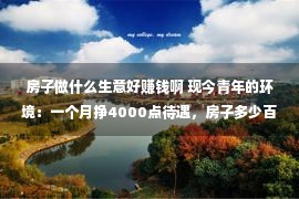 房子做什么生意好赚钱啊 现今青年的环境：一个月挣4000点待遇，房子多少百万，开10多万的车