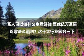 富人可以做什么生意赚钱 寰球亿万富豪都靠甚么赢利？这十大行业领会一下