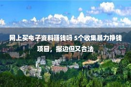 网上买电子资料赚钱吗 5个收集暴力挣钱项目，擦边但又合法