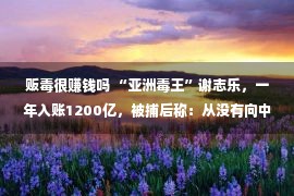 贩毒很赚钱吗 “亚洲毒王”谢志乐，一年入账1200亿，被捕后称：从没有向中鼎祚毒