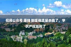 视频公众号 赚钱 新媒体流量杀疯了，学识产权赢利了