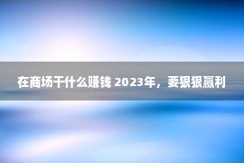 在商场干什么赚钱 2023年，要狠狠赢利