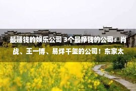 最赚钱的娱乐公司 3个最挣钱的公司：肖战、王一博、易烊千玺的公司！东家太才干了