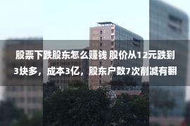 股票下跌股东怎么赚钱 股价从12元跌到3块多，成本3亿，股东户数7次削减有翻倍潜力吗？