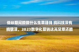 低谷期间能做什么生意赚钱 搞科技没有搞狠活，2023数字化营销这高足意还能做吗？