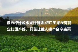 陕西种什么水果赚钱呢 进口生果没有特定比国产好，何苦让他人换个名字来赢利