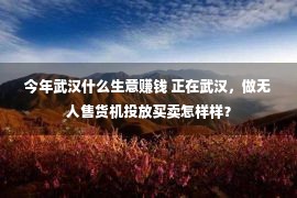 今年武汉什么生意赚钱 正在武汉，做无人售货机投放买卖怎样样？