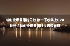 啥创业项目赚钱见效 谈一下收集上CPA拉新这种创业项目何以长远没有衰