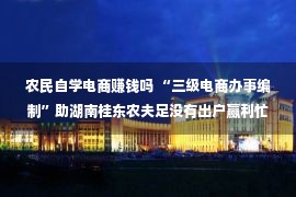 农民自学电商赚钱吗 “三级电商办事编制”助湖南桂东农夫足没有出户赢利忙