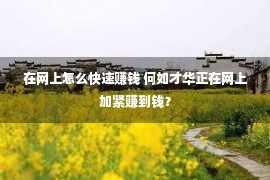 在网上怎么快速赚钱 何如才华正在网上加紧赚到钱？